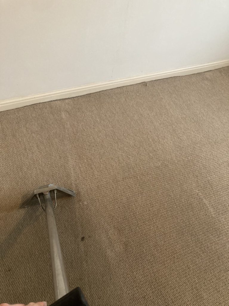 carpet cleaning